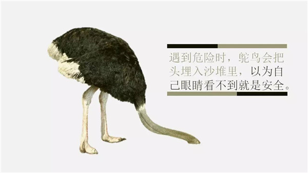 這6個詞，你誤解了任何一個，都能讓你錯過“風(fēng)口”