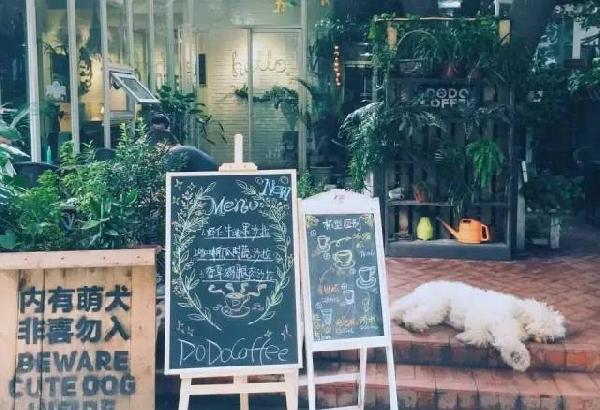 如何開家能賺錢的咖啡館？過(guò)來(lái)人是這樣算帳的...|餐飲界