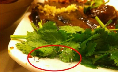 食客在餐廳吃到鋼絲，餐廳被判賠償食客206萬，并罰款686萬