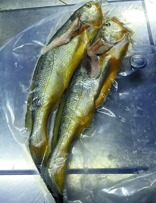 兩條小黃魚賣4628元：沒(méi)有菜牌，也沒(méi)有價(jià)格公示