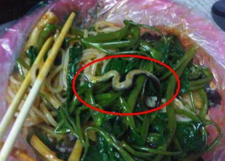 震驚！廣西大學(xué)一螺螄粉店竟然吃出一條蛇！真相是？