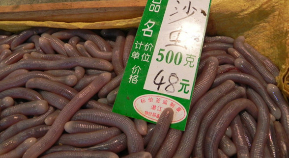 ?？谝徊蛷d沙蟲被食客質(zhì)疑不干凈 食藥監(jiān)：沒(méi)毛病