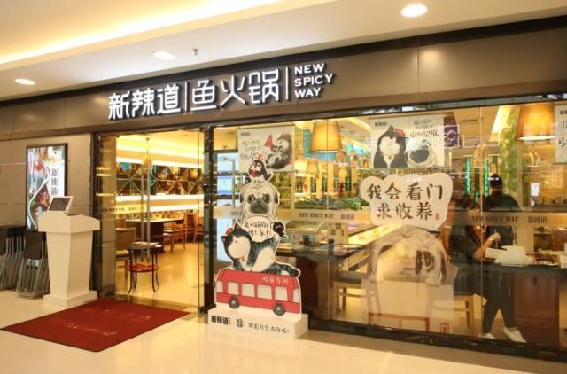 破局傳統(tǒng)營銷思維，看新辣道如何跨界&借勢瘋狂圈粉？ | 案例