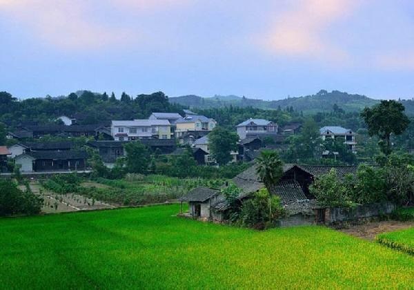城市水太深，回鄉(xiāng)開餐廳？看完這篇你再做決定……