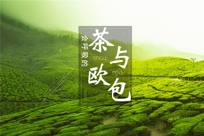 9個月開600家店，漫雪的茶憑啥攻占全國市場？|餐飲界