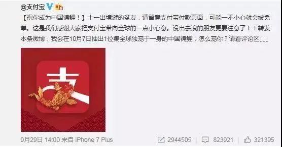 “錦鯉”火了，為什么我不建議跟風(fēng)蹭這個(gè)大熱點(diǎn)？