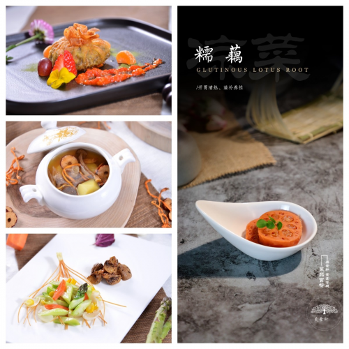 素食革命：如何通過純素飲食打造健康身體？美素軒為你揭秘|餐飲界