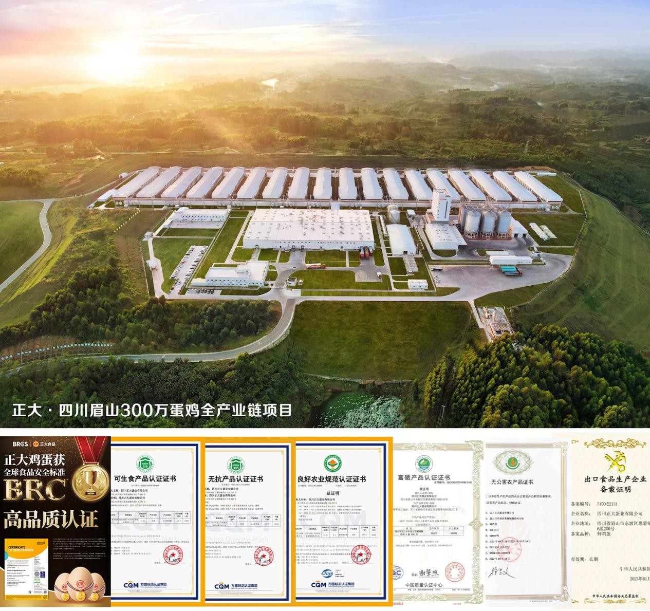 正大雞蛋授權安德魯森成都350家門店 進一步提升在烘焙行業(yè)影響力