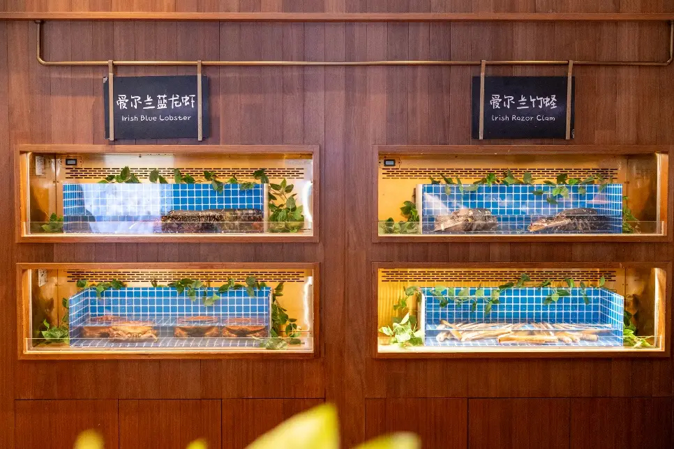 愛爾蘭農(nóng)業(yè)、食品及海事部部長帶團訪華并走訪上海的“愛爾蘭海鮮集市”